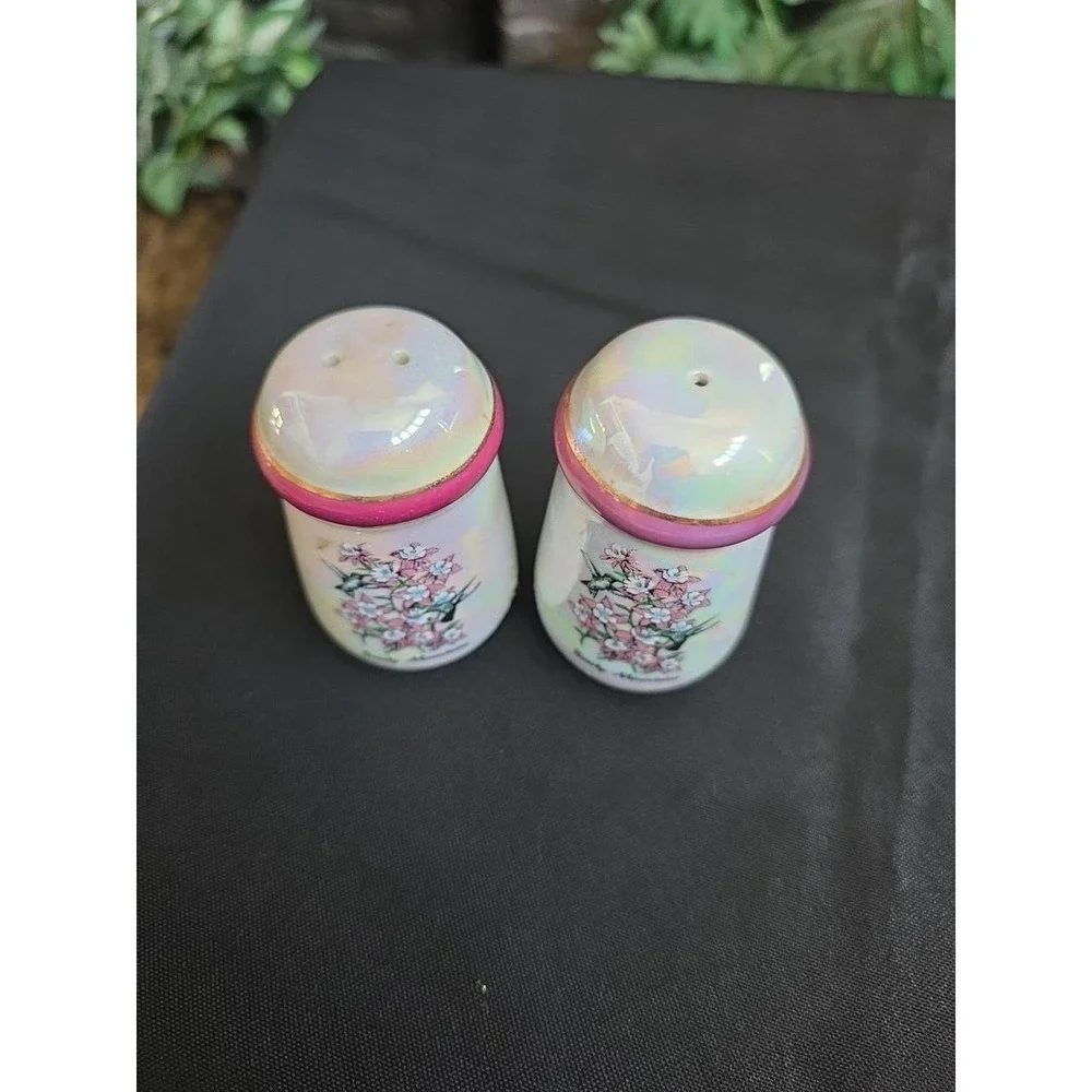 VTG Iridescent SMOKEY MOUNTAINS  Souvenirs Salt and Pepper Shakers